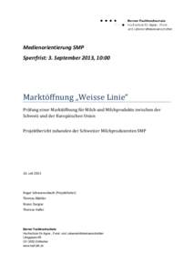 Microsoft Word - Pressekonferenz Bericht_SMP_20130716-d.docx