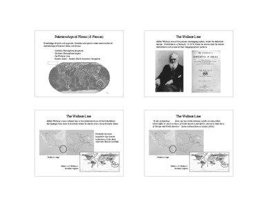 West Nusa Tenggara / Geology of Indonesia / Biogeography / Celebes Sea / Wallace Line / Lombok Strait / Malay Archipelago / Sunda Shelf / Alfred Russel Wallace / Asia / Biology / Lombok