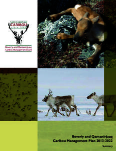 Beverly and Qamanirjuaq Caribou Management Plan[removed]Summary Produced by the Beverly and Qamanirjuaq Caribou Management Board ©