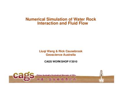 Numerical Simulation of Water Rock Interaction and Fluid Flow Liuqi Wang & Rick Causebrook Geoscience Australia CAGS WORKSHOP II’2010