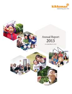 Annual Report[removed]Year Ended March 31, 2013