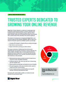 DIGITAL RIVER PARTNER NETWORK  TRUSTED EXPERTS DEDICATED TO GROWING YOUR ONLINE REVENUE Digital River’s Partner Network is a collection of trusted experts that accelerates growth through innovative e-commerce, payments