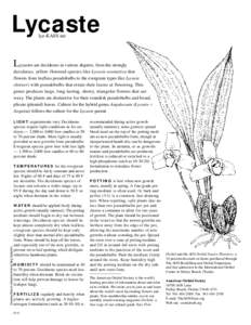 Asparagales / Orchids / Lycaste / Pseudobulb / Orchidaceae / Anguloa / Eulophia petersii / Botany / Plant taxonomy / Epiphytes