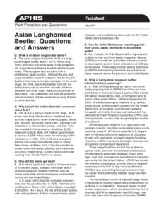 APHIS Plant Protection and Quarantine Asian Longhorned Beetle: Questions and Answers