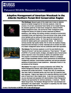 Land management / Sustainability / American Woodcock / Scolopax / Woodcocks / Adaptive management / Forest management / Clearcutting / Wildlife management / Environment / Forestry / Earth