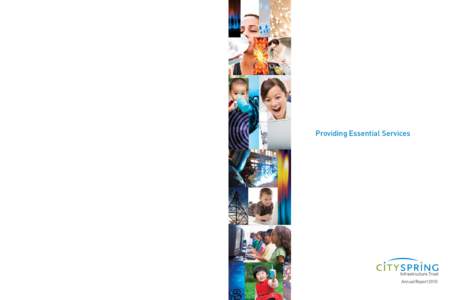 Providing Essential Services  Annual Report 2010 Contents