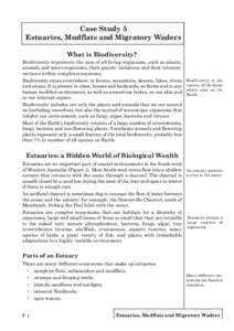 Case Study 5 Estuaries, Mudflats and Migratory Waders What is Biodiversity? Biodiversity represents the sum of all living organisms, such as plants, animals and micro-organisms, their genetic variations and their interco