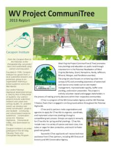 2013 CTree_Report_8.5x11.pub