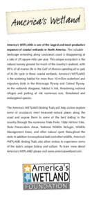 America’s Wetland America’s WETLAND is one of the largest and most productive expanses of coastal wetlands in North America. This valuable landscape extending along Louisiana’s coast is disappearing at a rate of 25