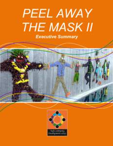 PEEL AWAY THE MASK II Executive Summary Peel Away the Mask II Executive Summary