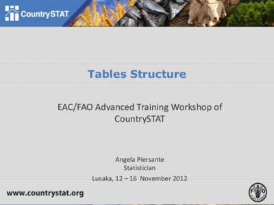 Tables Structure EAC/FAO Advanced Training Workshop of CountrySTAT Angela Piersante Statistician