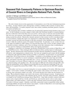Freshwater marsh / Wetland / Everglades / Florida / Physical geography