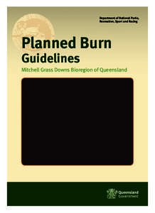 Ecological succession / Fire / Wildfire / Barkly Tableland / Tropical and subtropical grasslands /  savannas /  and shrublands / Natural hazards / Occupational safety and health