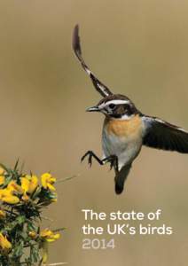 The state of the UK’s birds 2014 The state of the UK’s birds[removed]