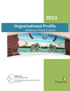 2013 Organizational Profile Nokiiwin Tribal Council Prepared by: Crupi Consulting Group