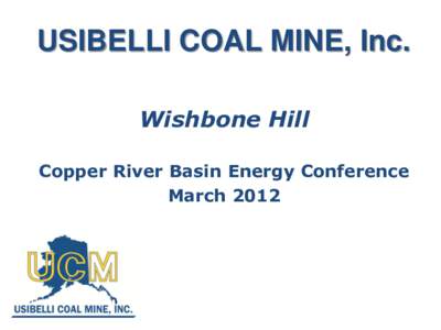 USIBELLI COAL MINE, Inc. Wishbone Hill Copper River Basin Energy Conference March 2012  Usibelli Coal Mine