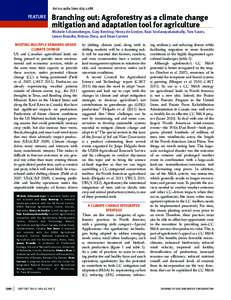 doi:jswc.67.5.128A  FEATURE Branching out: Agroforestry as a climate change mitigation and adaptation tool for agriculture