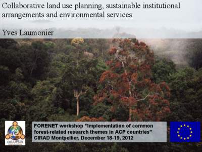 Collaborative land use planning and sustainable institutional arrangements for strengthening land tenure, forest and community rights in Indonesia Internal CIFOR Meeting, January 28th 2010
