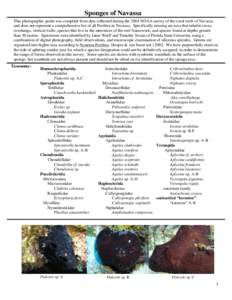 Sponges of Navassa This photographic guide was compiled from data collected during the 2004 NOAA survey of the coral reefs of Navassa and does not represent a comprehensive list of all Porifera in Navassa. Specifically m