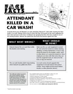 Safety / Brush / Car wash / OHB-System / Risk / Occupational safety and health / National Institute for Occupational Safety and Health / Fatality Assessment and Control Evaluation / Technology