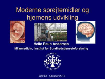 Moderne sprøjtemidler og hjernens udvikling Helle Raun Andersen Miljømedicin, Institut for Sundhedstjenesteforskning