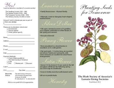 Yes!  I want to become a member of a Lunaria society! The Seedling Society ($50 – 249) The Herblet Society ($250 – 499) The Transplant Society ($500 – 999)