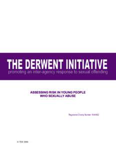 ASSESSING RISK IN YOUNG PEOPLE WHO SEXUALLY ABUSE Registered Charity Number  © TDI 2006