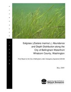 Geography of North America / Bellingham /  Washington / Bellingham waterfront / Zostera / Whatcom County /  Washington / Chuckanut Mountains / Bellingham Bay / Squalicum High School / Puget Sound / Geography of the United States / Washington / Seagrass