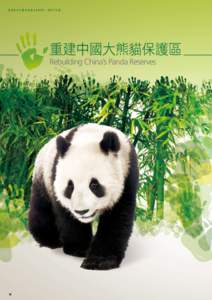 香 港 海 洋 公 園 保 育 基 金  年 報  重建中國大熊貓保護區 Rebuilding China’s Panda Reserves  34