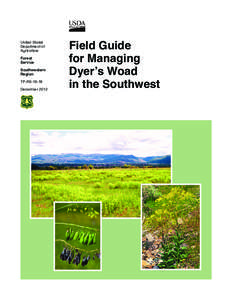 Field Guide for Managing Dyer’s Woad in the Southwest