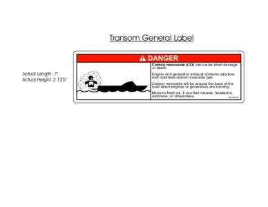 Transom General Label DANGER Carbon monoxide (CO) can cause brain damage or death.  Actual Length: 7”