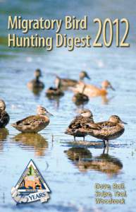 Zoology / Hunting / Zenaida / Game birds / Game / Mourning Dove / White-winged Dove / Eurasian Teal / Teal / Anas / Ornithology / Ducks