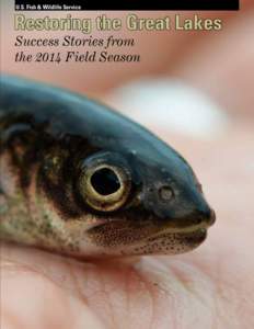 U.S. Fish & Wildlife Service  Restoring the Great Lakes Success Stories from the 2014 Field Season