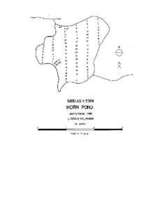 Trickey Pond / Lovewell Pond / Horn Pond / Geography of the United States / Maine