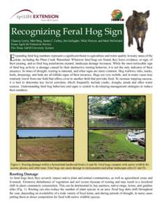 Recognizing Feral Hog Sign Chancey Lewis, Matt Berg, James C. Cathey, Jim Gallagher, Nikki Dictson, and Mark McFarland Texas AgriLife Extension Service The Texas A&M University System  E