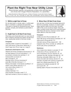 Biology / Plant morphology / Plants / Shrub / Mountain Pine / Picea pungens / Montana Arboretum and Gardens / Idaho State Arboretum / Botany / Ornamental trees / Flora