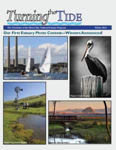 Turning TIDE the The Newsletter of the Morro Bay National Estuary Program	  Winter 2012