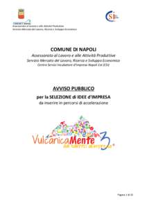 Assessorato al Lavoro e alle Attività Produttive Servizio Mercato del Lavoro, Ricerca e Sviluppo Economico COMUNE DI NAPOLI Assessorato al Lavoro e alle Attività Produttive Servizio Mercato del Lavoro, Ricerca e Svilup