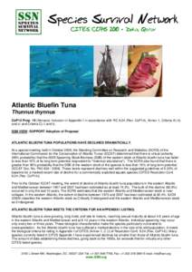 Species Survival Network CITES COP15 2010 • Doha, Qatar   Atlantic Bluefin Tuna Thunnus thynnus
