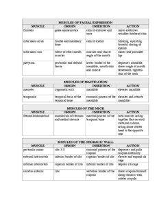 Long bones / Forearm / Table of muscles of the human body: Upper limb / Extrinsic extensor muscles of the hand / Foot / Flexor pollicis brevis muscle / Ulna / Brachioradialis / Radius / Muscular system / Human anatomy / Anatomy