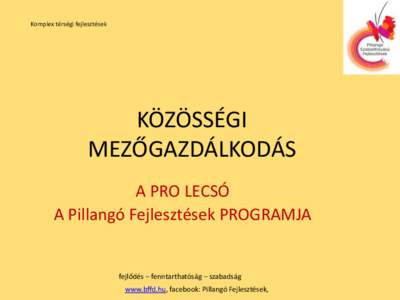 Komplex térségi fejlesztések  KÖZÖSSÉGI MEZŐGAZDÁLKODÁS A PRO LECSÓ A Pillangó Fejlesztések PROGRAMJA