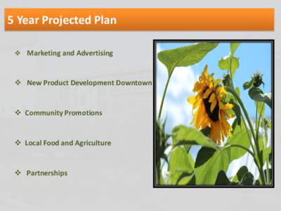 5 Year Projected Plan  Marketing and Advertising  New Product Development Downtown   Community Promotions