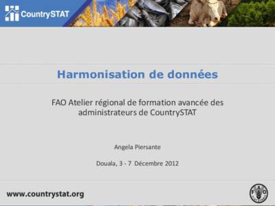 Harmonisation de données FAO Atelier régional de formation avancée des administrateurs de CountrySTAT Angela Piersante Douala, 3 - 7 Décembre 2012
