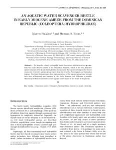 Oligocene / Hydrophiloidea / Baltic amber / Eocene / Dominican amber / Hydrophilidae / Amber / Phylogeny of insects / Beetle / Cenozoic / Phanerozoic / Geologic time scale