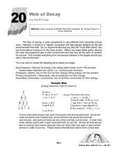 20  Web of Decay Cave Food Web Game  Materials: Game cards= Simplified food webs (enlarged) = Energy Tokens or