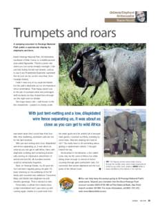 Getaway Elephant Ambassador Sharon Pincott Trumpets and roars A camping excursion to Hwange National