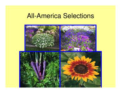 All-America Selections  All America Selections • Mission: promote new garden seed varieties • Trial and display gardens in U.S. and