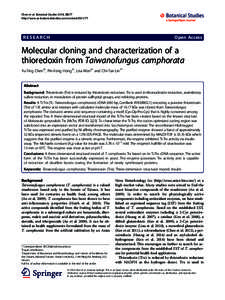 Performance analysis of OFDM modulation on indoor broadband PLC channels