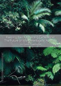The Wet Tropics has the oldest continuously surviving tropical rainforests on earth and are a living museum of how land plants have evolved. Photo © K. Trapnell, Wet Tropics Images Keeping the Outstanding Exceptional: T