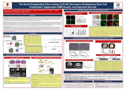 Glioblastoma multiforme / CD133 / Cancer stem cell / Neural stem cell / Stem cell niche / Stem cells / Biology / Brain tumor